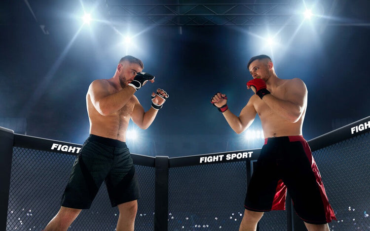 walka w federacji ufc