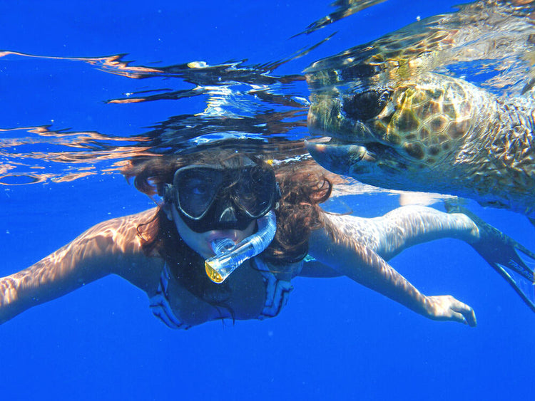 Snorkeling – co to jest i jak zacząć nurkowanie z fajką?