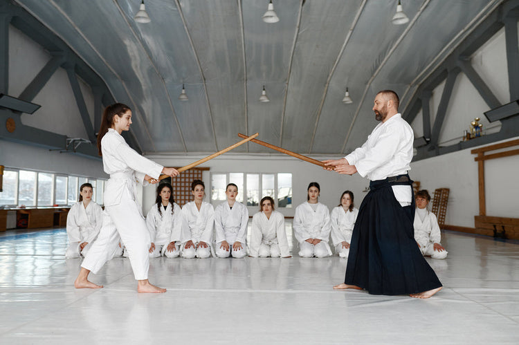 trening aikido mistrz i uczeń