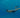 Freediving – czym jest nurkowanie na bezdechu i dlaczego tak wciąga?