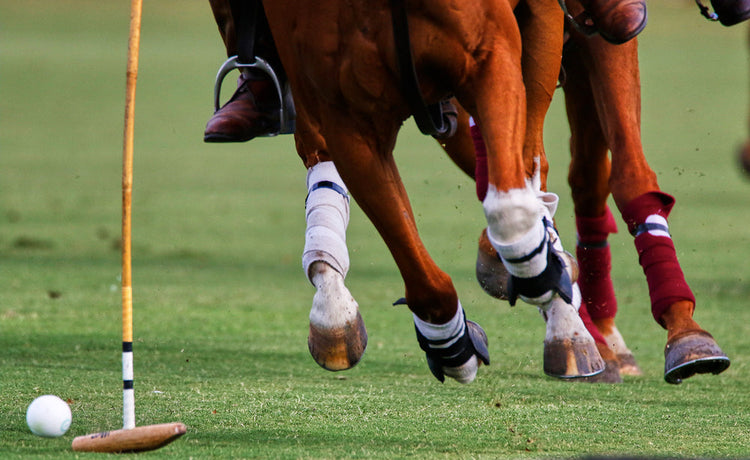 kadr na kopyta konia piłkę i mallet do polo